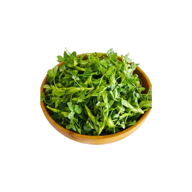 有機農場で撮影されたメジカゴ（Medicago sativa）のマクロ写真