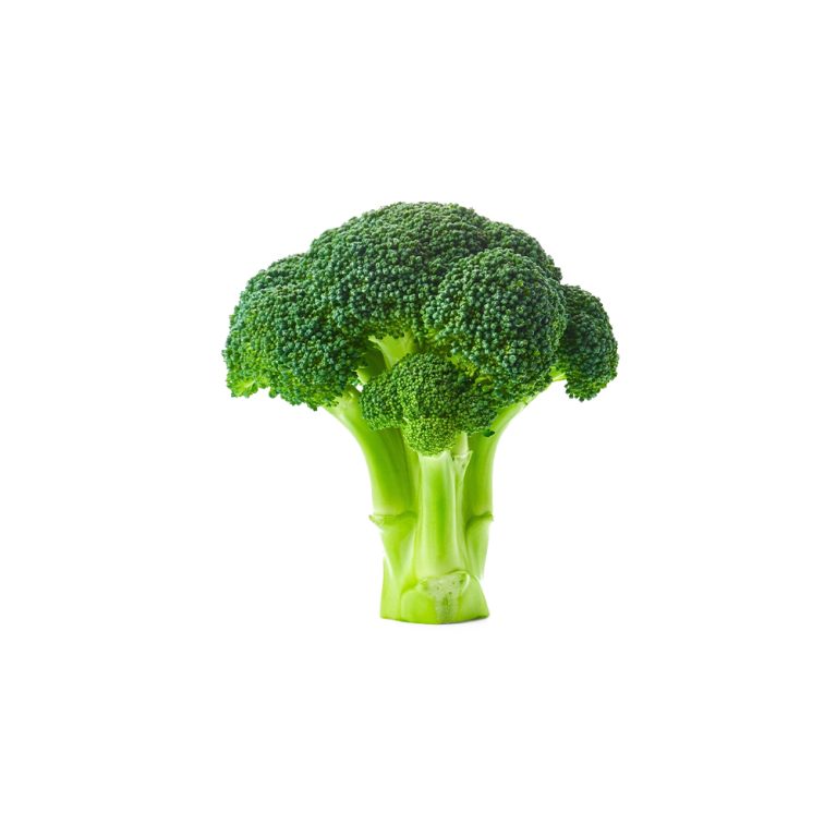Brassica oleracea var. italica の新鮮な小花を撮影したマクロ写真