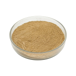 Light green Lemon Balm Powder fine particle detail