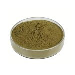 Fine milled Tribulus Terrestris Powder texture detail
