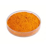 Deep orange Zeaxanthin Powder fine particle detail