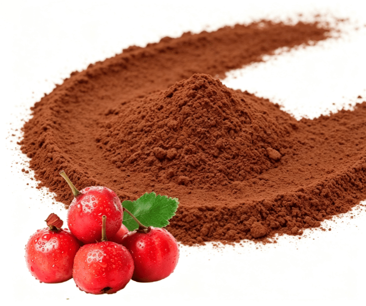 Hawthorn Berry Extract close-up texture detail