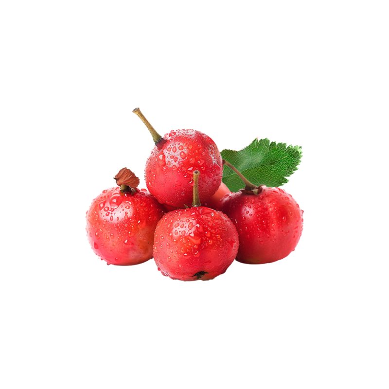 Crataegus monogyna fresh red berry macro photography