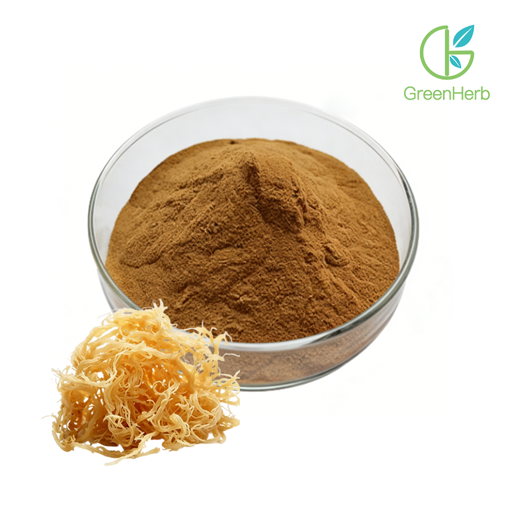 Irish Sea Moss Extract close-up texture detail Irish Sea Moss Extract close-up texture detail